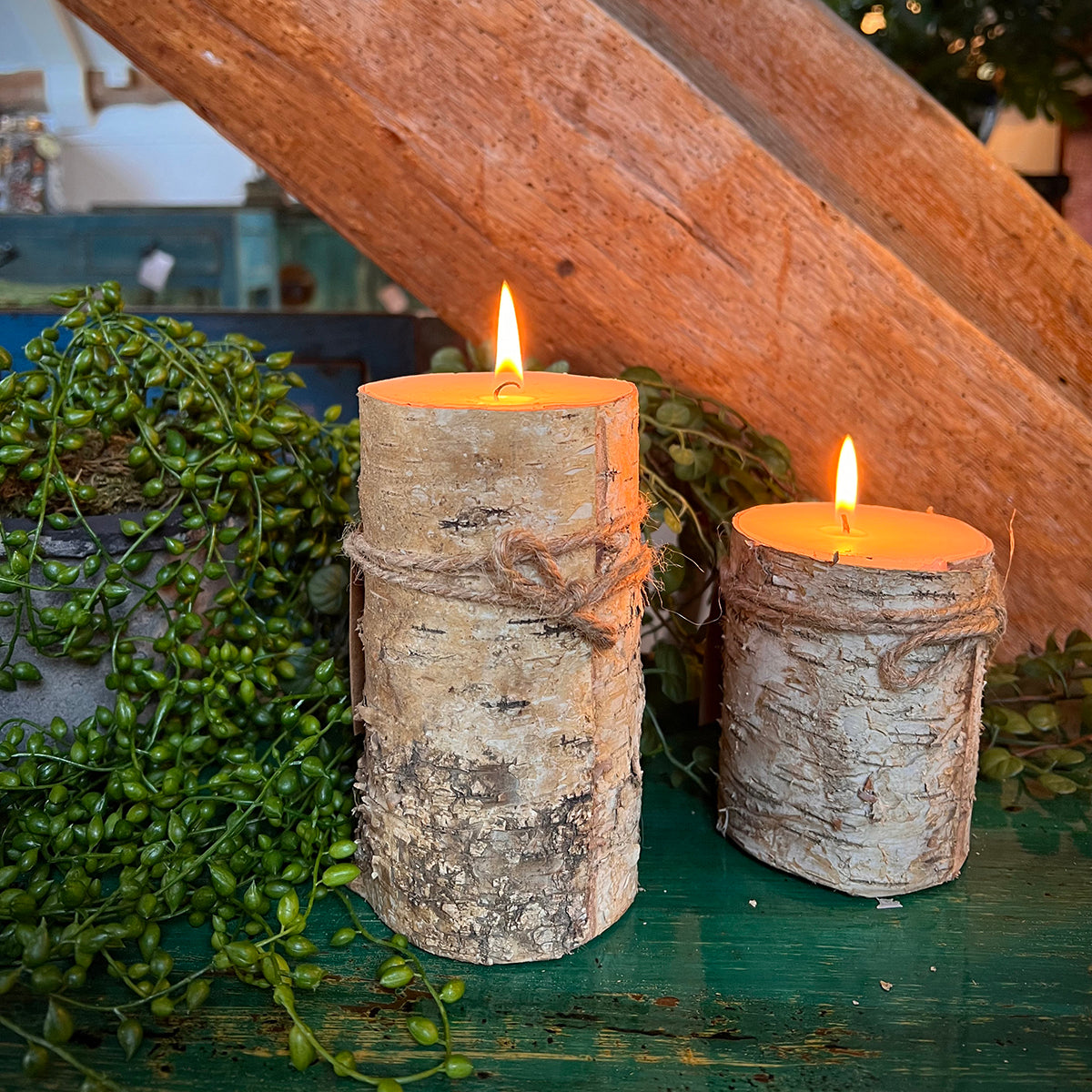 Silver log candle Silver birch candle Orchid
