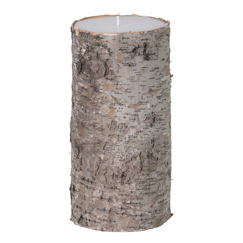 Silver log candle Silver birch candle Orchid