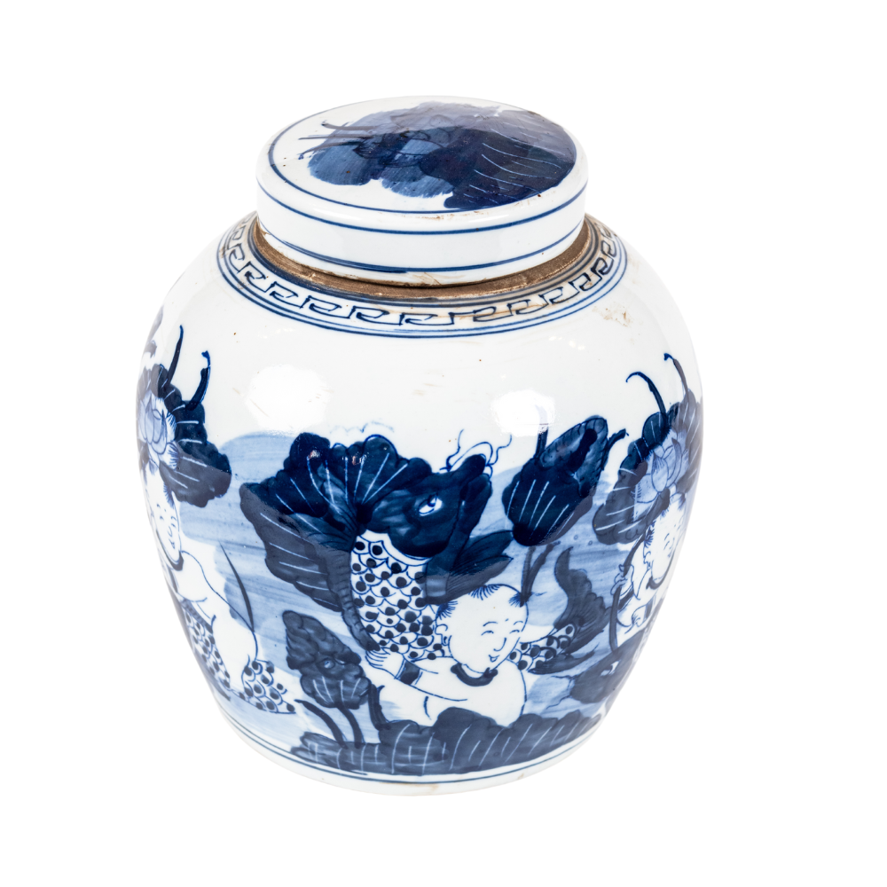 ENSHI Pond Life Ginger Jar 22 cm ORCHID Orchid