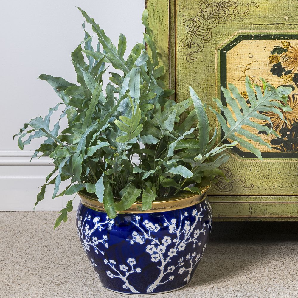 oriental indoor plant pots Oriental Porcelain Planter 30cm | Chinese Ceramic Blue White Planter | BIJIAN