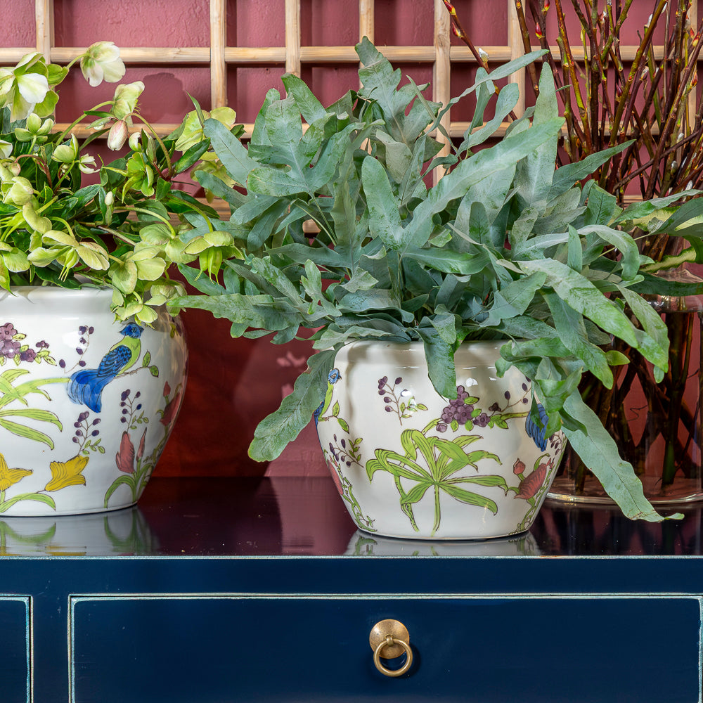 Chinese Ceramic Planters, Oriental Plant Pots - Buy Online/In-Store - Orchid