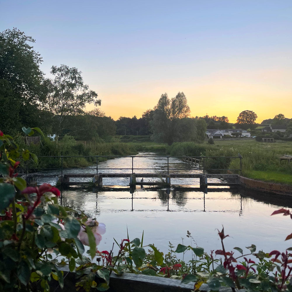 stockbridge-hamsphire-wild-kitchen-garden-river-test-view