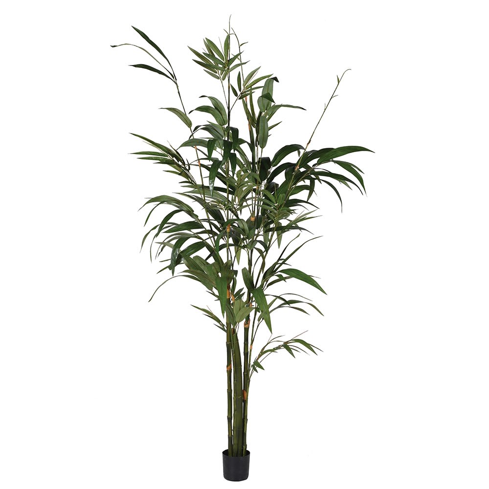 A faux bamboo plant with green leaves and tall shoots, presented in a black pot. 