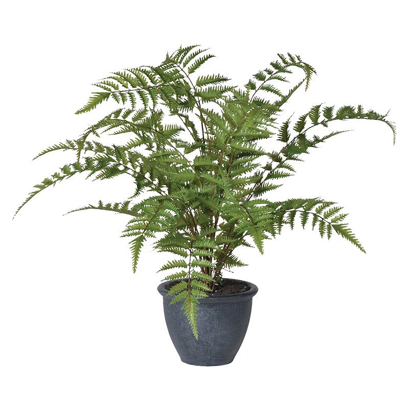 A faux green bracken fern presented in a grey pot. 