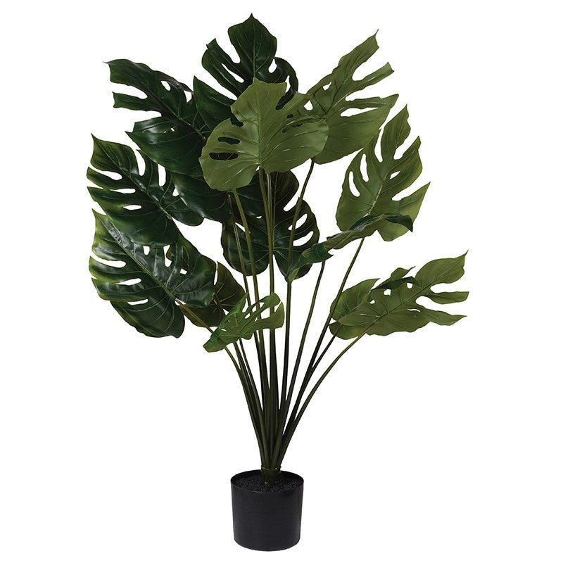 A faux cheese plant in a black pot. 